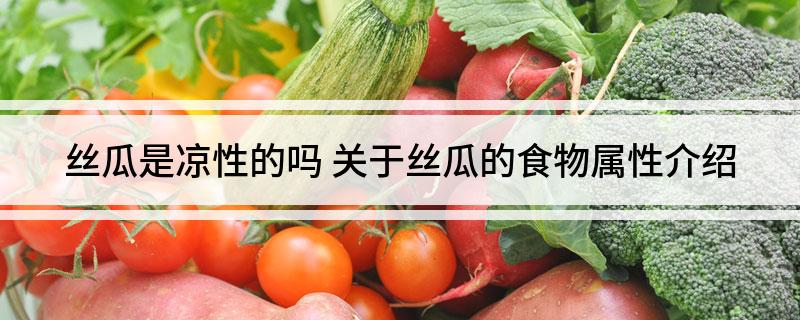 丝瓜是凉性的吗 关于丝瓜的食物属性介绍