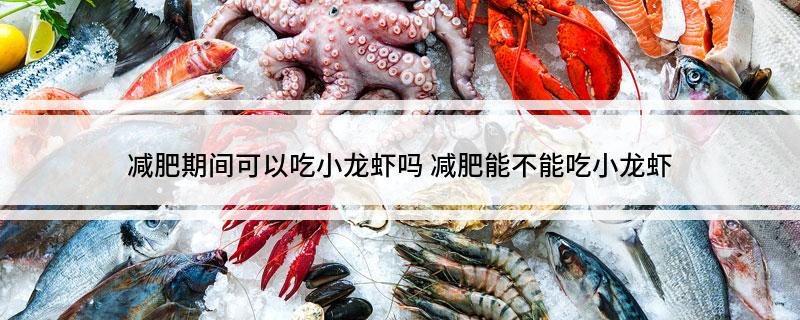 减肥期间可以吃小龙虾吗 减肥能不能吃小龙虾