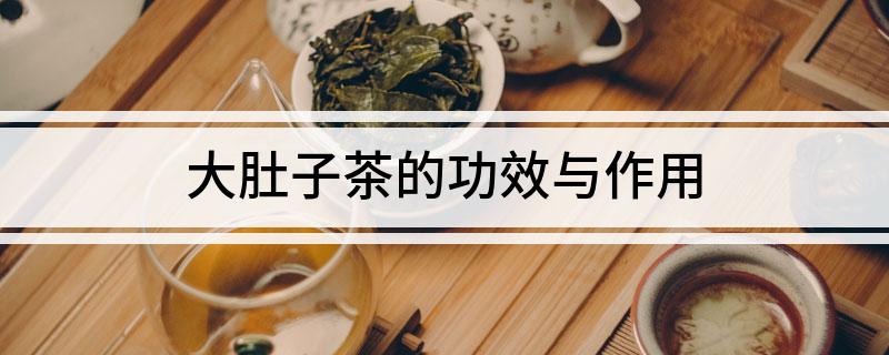 大肚子茶的功效与作用 大肚子茶有什么功效与作用