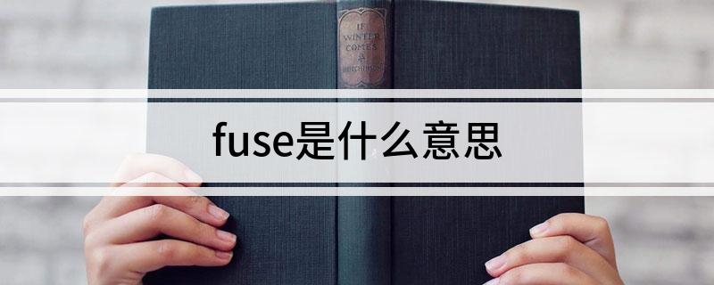 fuse是什么意思