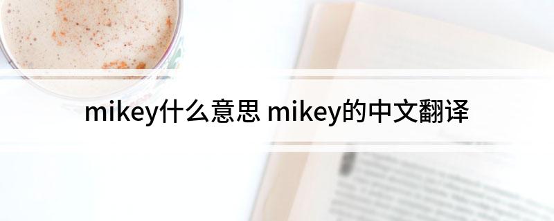 mikey什么意思 mikey的中文翻译