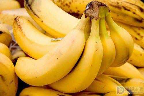 没熟的香蕉可以煮了吃吗
