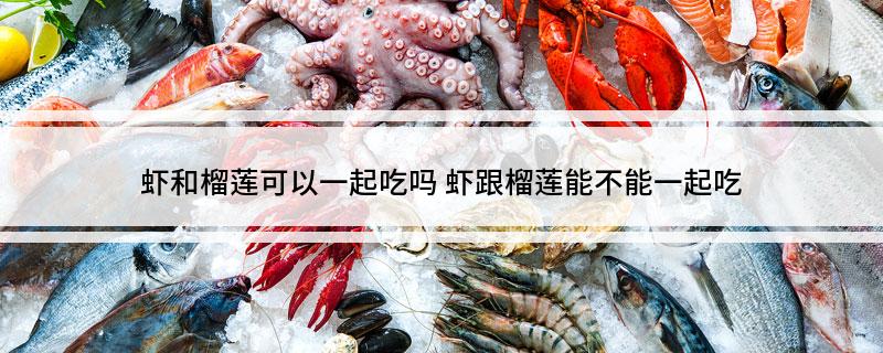 虾和榴莲可以一起吃吗 虾跟榴莲能不能一起吃