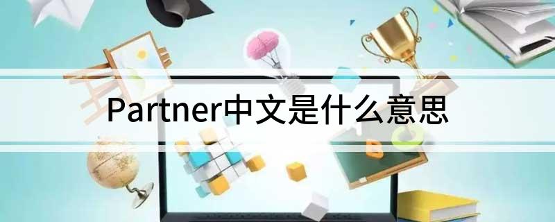 Partner什么意思中文 Partner中文 是什么意思