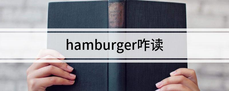 hamburger咋读