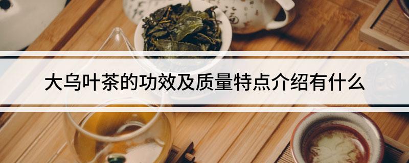 大乌叶茶的功效及质量特点介绍有什么