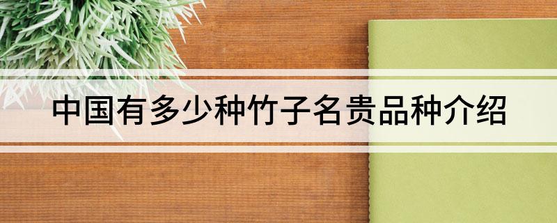 中国有多少种竹子名贵品种介绍