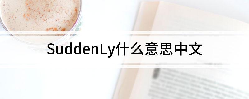SuddenLy什么意思中文 SuddenLy的中文意思介绍