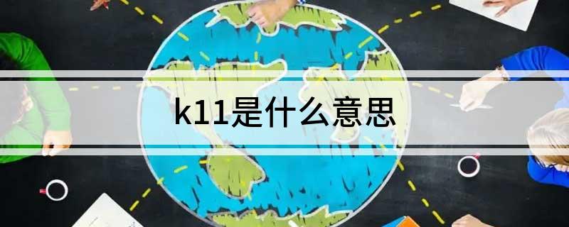 k11是什么意思