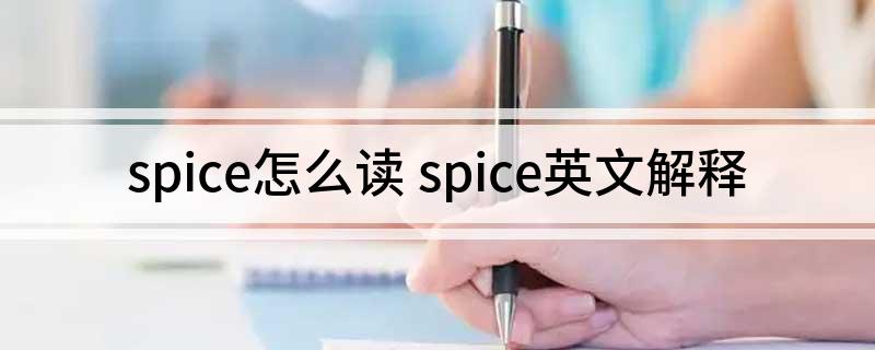 spice怎么读 spice英文解释