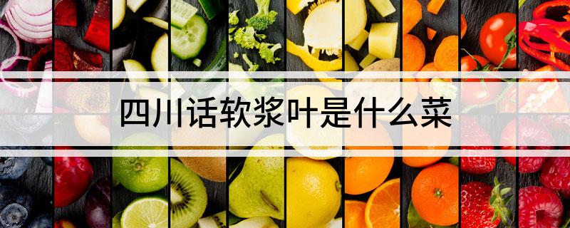 四川话软浆叶是什么菜