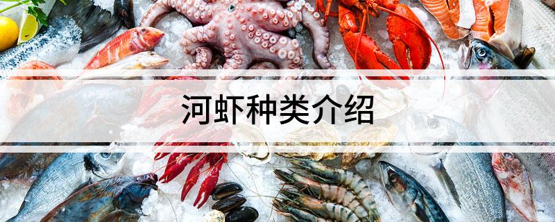 河虾种类介绍