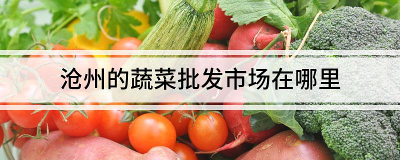 沧州的蔬菜批发市场在哪里