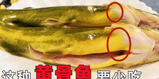 黄骨鱼刺多吗，黄骨鱼鱼刺是黄色的吗？图1