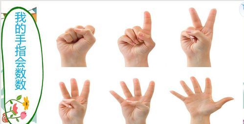 数字你会写，但用手指头表示你不一定会哦，用两只手的手指最多可以表示多少个数字？图2