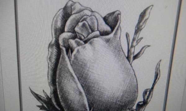 教你画简单的玫瑰花，如何用铅笔画一朵玫瑰花？图8