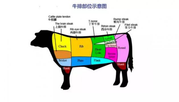牛排是牛的哪个部位