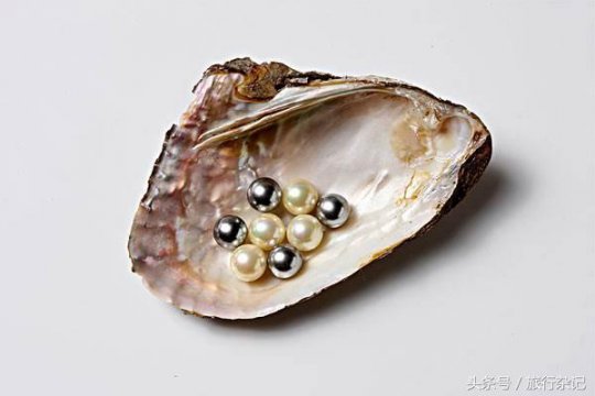 珍珠怎么形成的过程