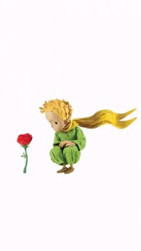 小王子和玫瑰花的故事