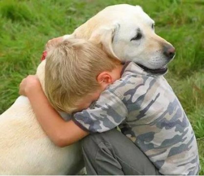 狗是人类最忠实的朋友