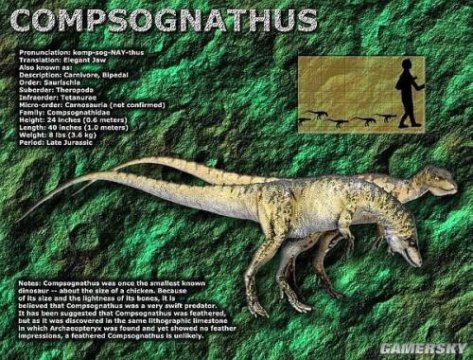 最早的恐龙叫什么名字，是出现在2.3亿年前的始盗龙